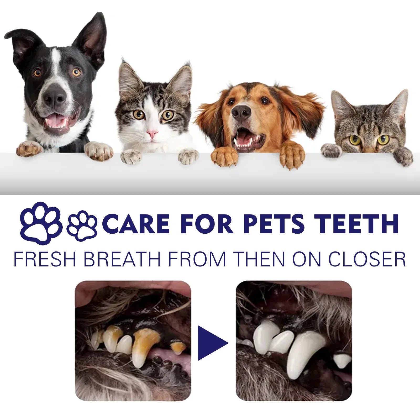 Yegbong 60g Pet Mouth Deodorant Toothpaste V34 Cleaning Dental Stains Calculus Tartar Fight Gum Disease Gingival Care Toothpaste