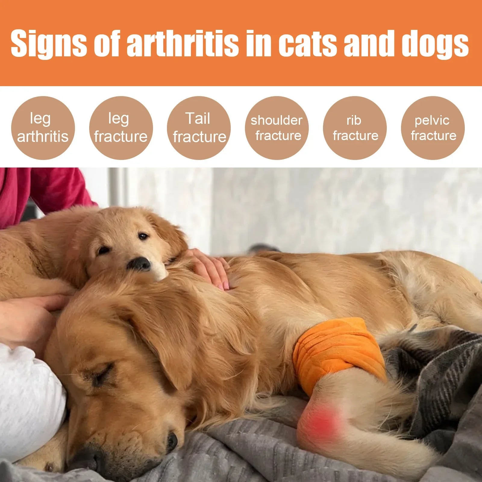 Pet Joint Care Drops Bone Deformities Healing Relieves Discomfort Joint Repair Supplement Anti Itching Dog Joint Caring Solution