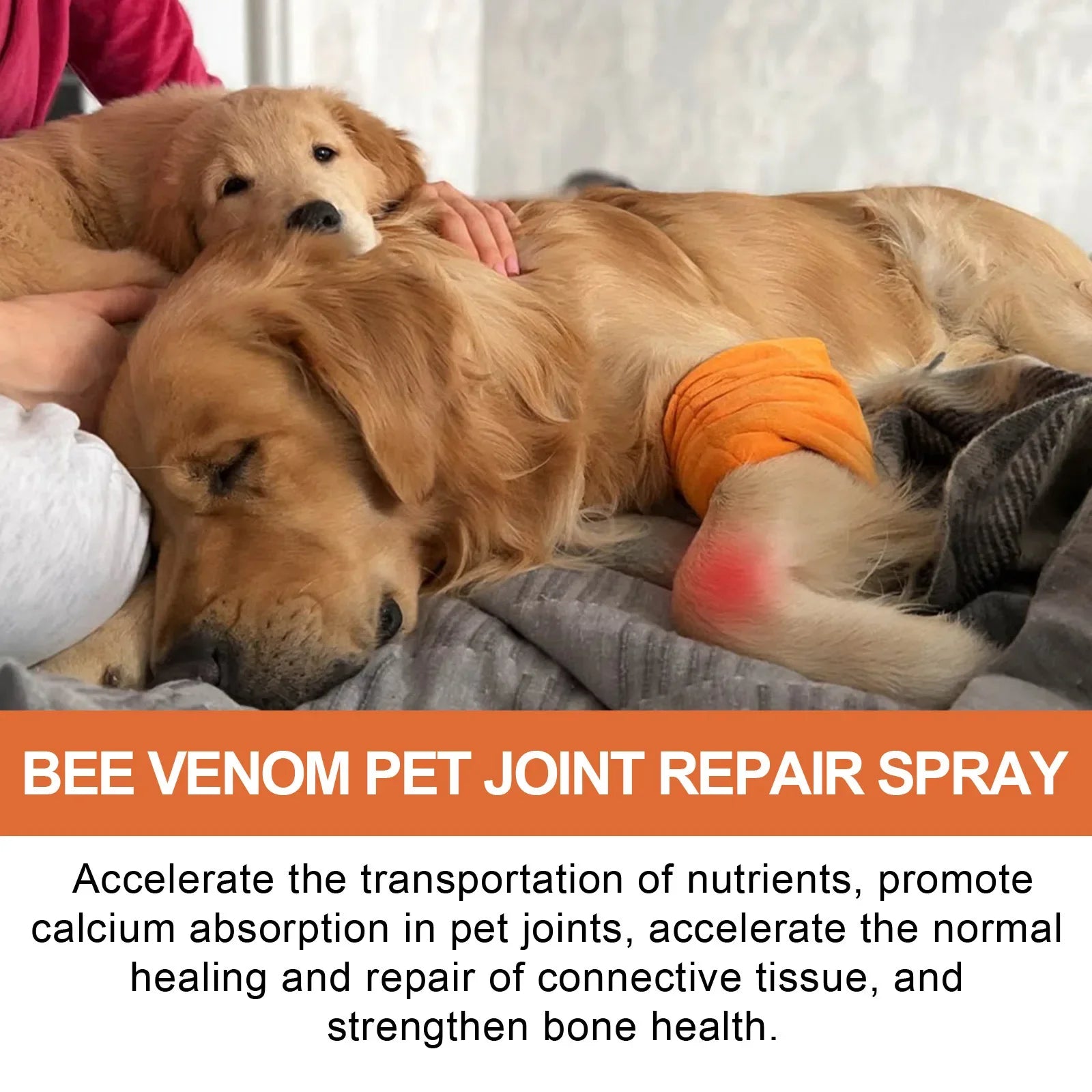 Pet Joint Repair Spray Dog Cat Bone Deformity Osteoarthritis Healing Multifunctional Joint Care Liquid Pet Bone Care Supplies