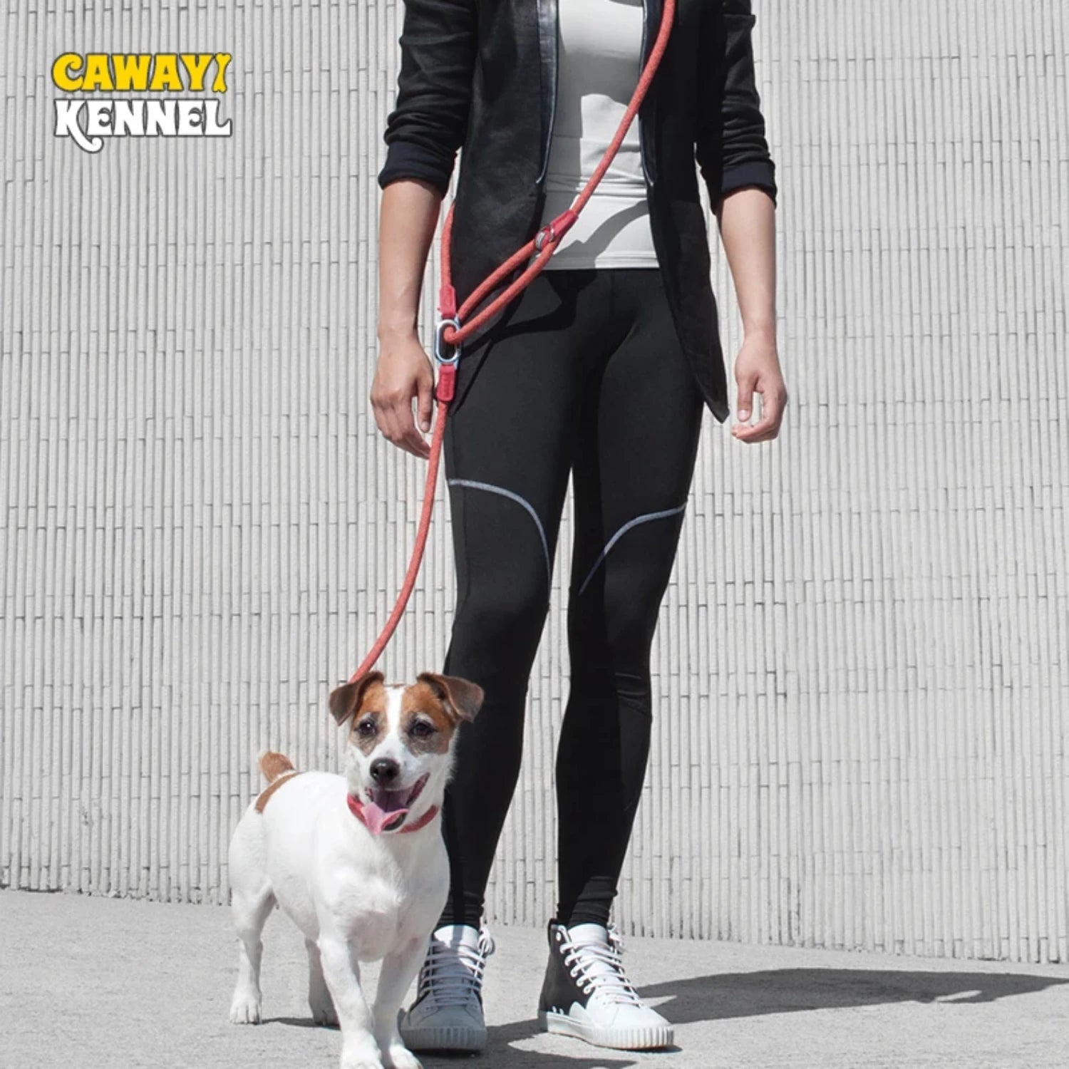 Reflective Nylon Leashes Pet Dogs Chain Traction Rope Leads Running Free Hands Rope Chain Small Large Dogs Studded dog collar