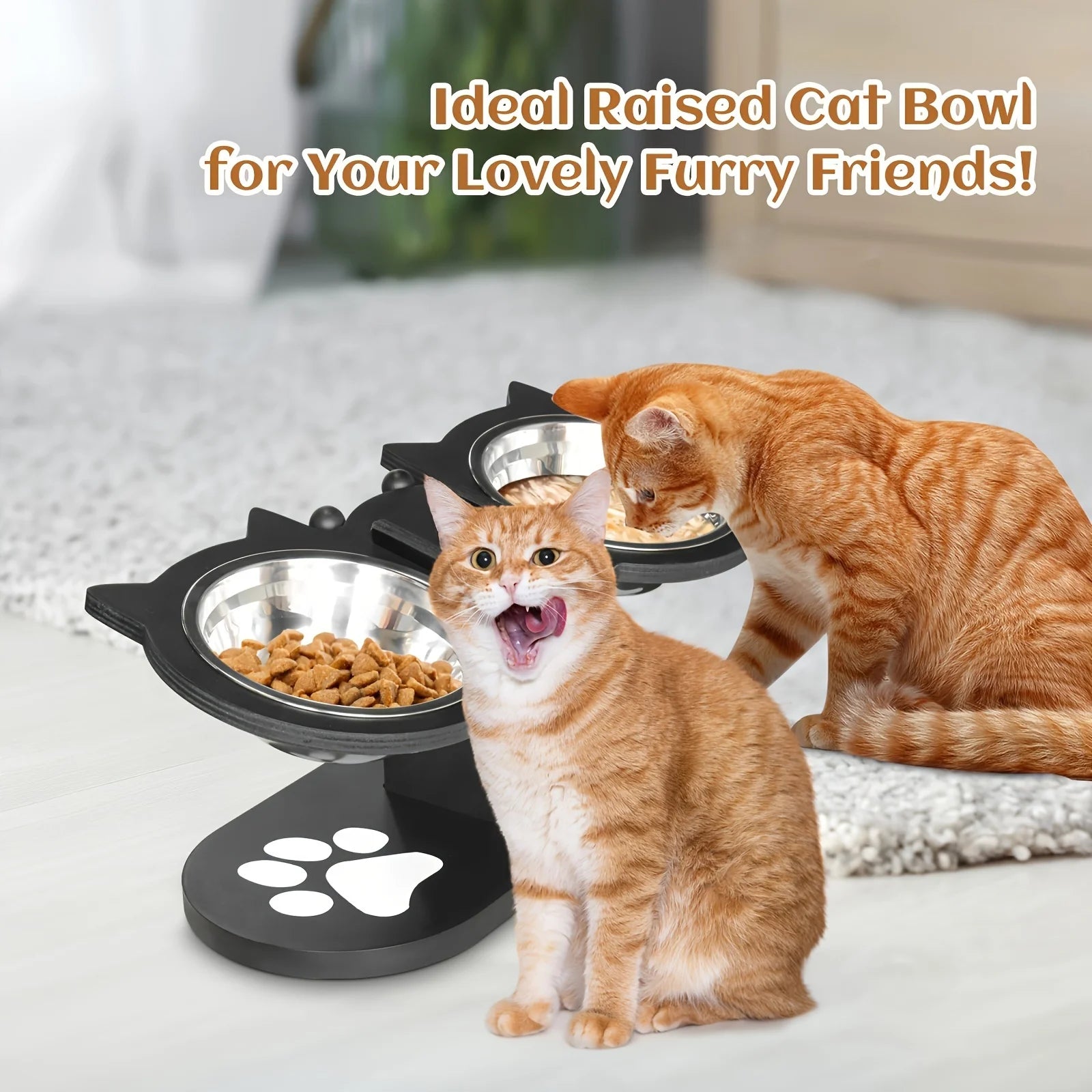 Cat 3 Bowls in 1 Feeder Feeding & Watering Supplies Food Bowl 15-Degree Tilt Raised Puppy 3 Stainless Steel Bowls Wood Brackets