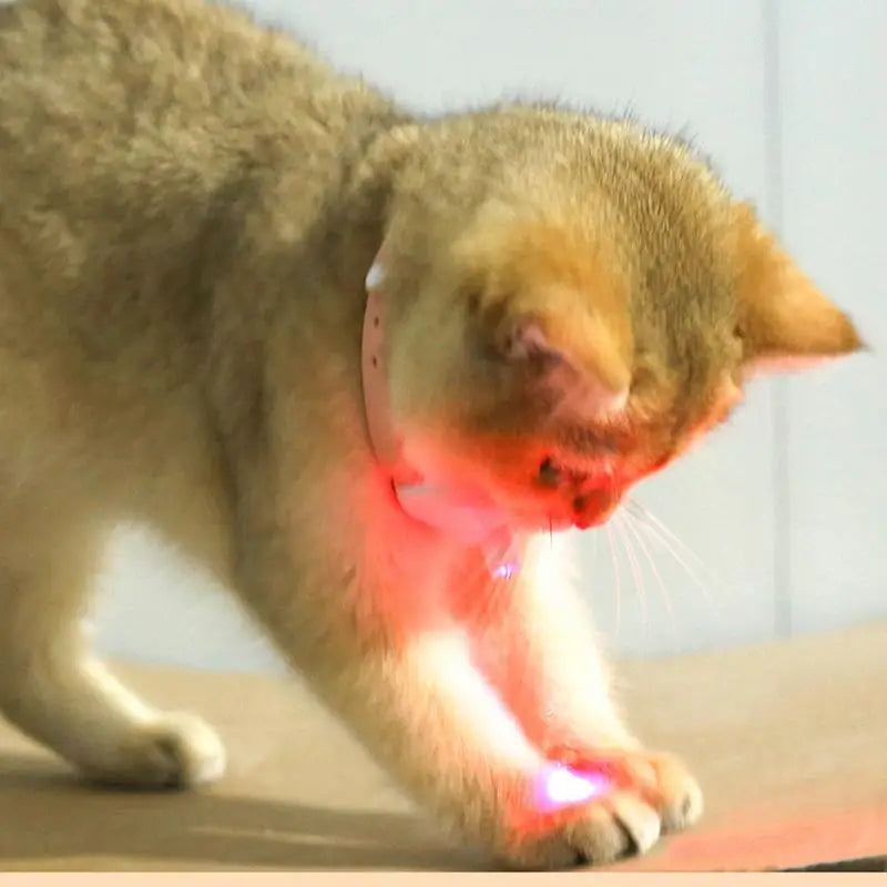 Wearable Automatic Cat Toys with laser Interactive Self Entertainment Laser Cat Teasing Collar Intelligent LED Indoor Cat Toy