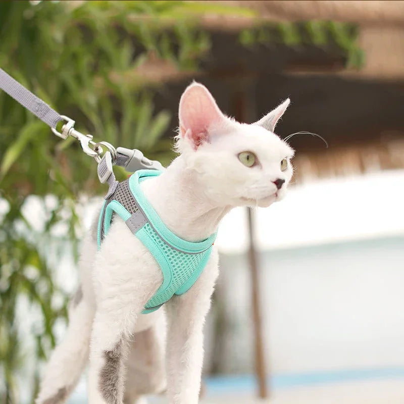 Breathable Cat Harness Vest Adjustable Kitten Chest Strap Reflective Puppy Pet Harness and Leash Belt Set for Small Dog Stuff