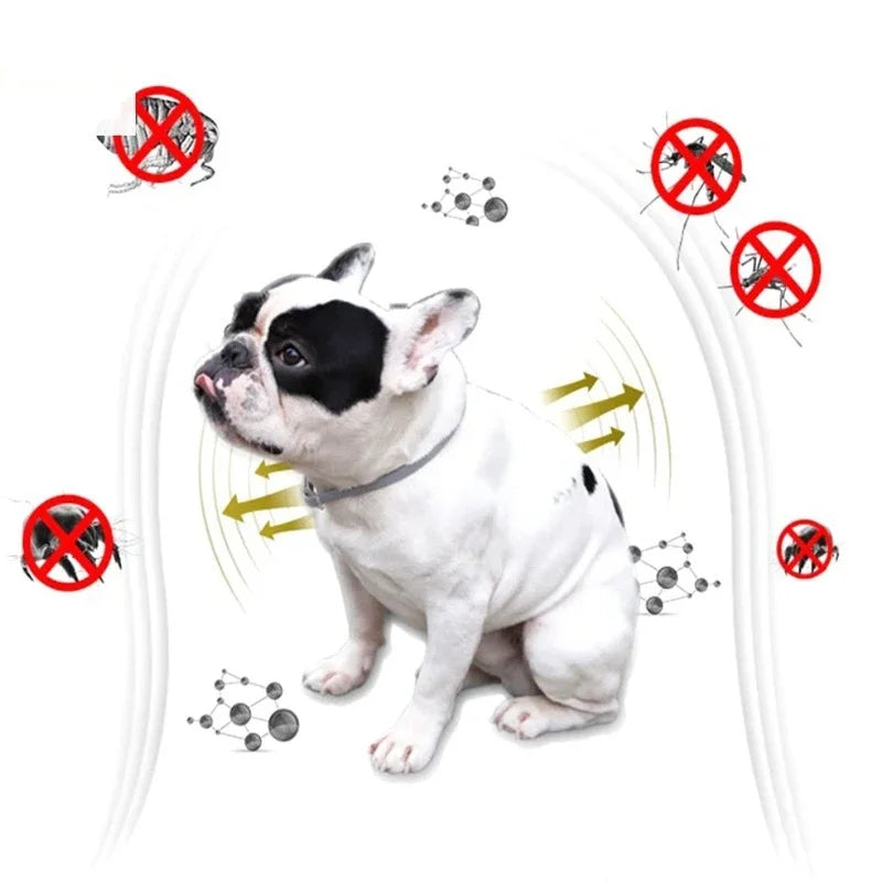 Anti Flea Ticks Collar for Dogs & Cats - Repellent Pet Collar against Fleas, Ticks, and Mosquitoes - Large Dog & Puppy Accessori