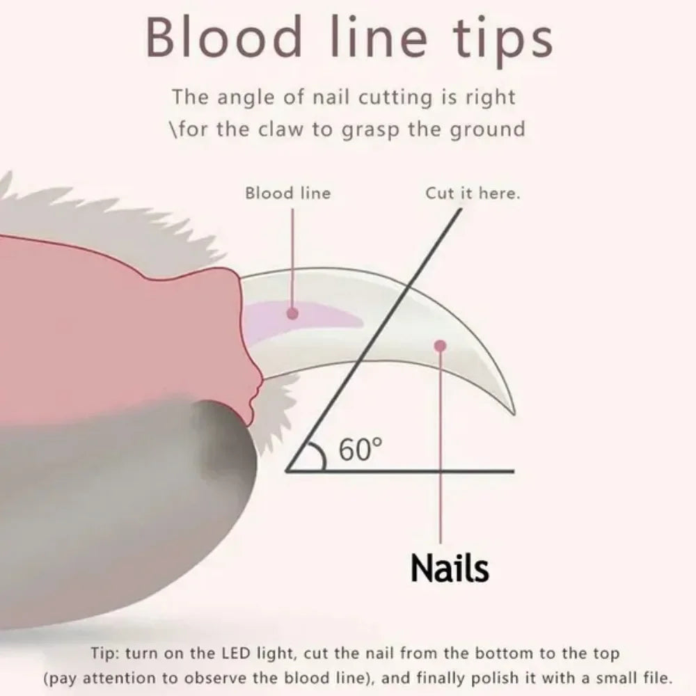 Professional Pet Nail Clipper LED Light Pet Nail Clipper Claw Grooming Scissors for Cats Small Dogs Scissors Cat Accessories