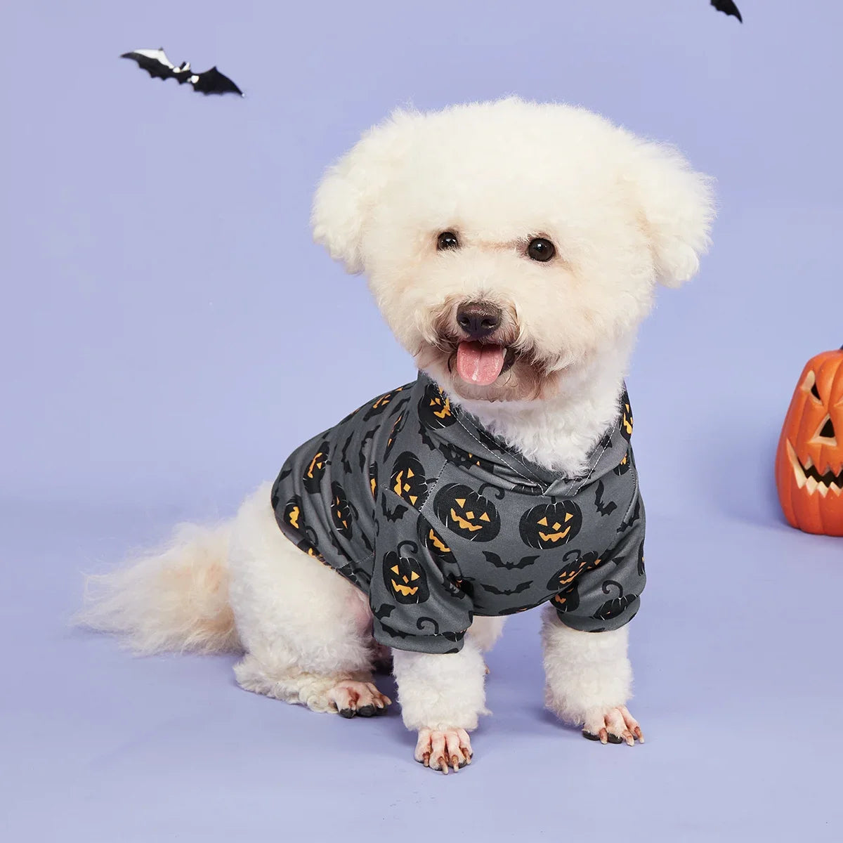Dog Hoodie Halloween Shirts Clothes Dog Doggy Cool Pumpkin and Bat Pattern  Dog Clothes Dog Sweatshirts Apparel Pet Turtleneck