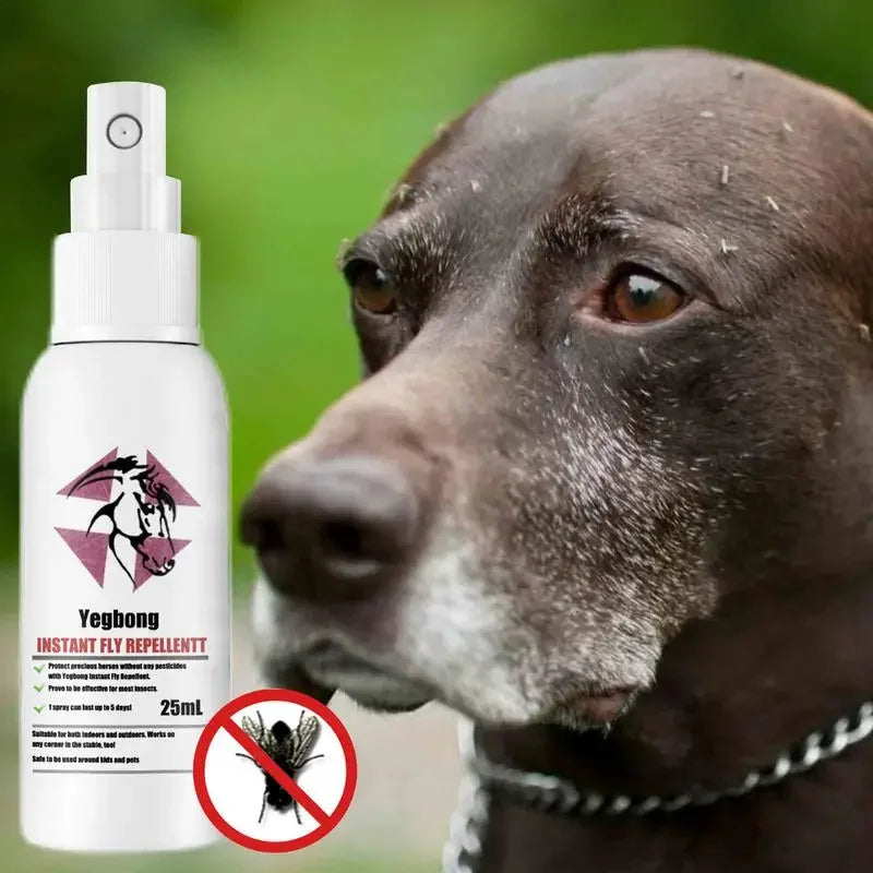 Dog Lice Spray Care Fleas And Tick Spray  Dogs Cats Fleas Treatments  Fleas Killers Pet Soothing Grooming Spray