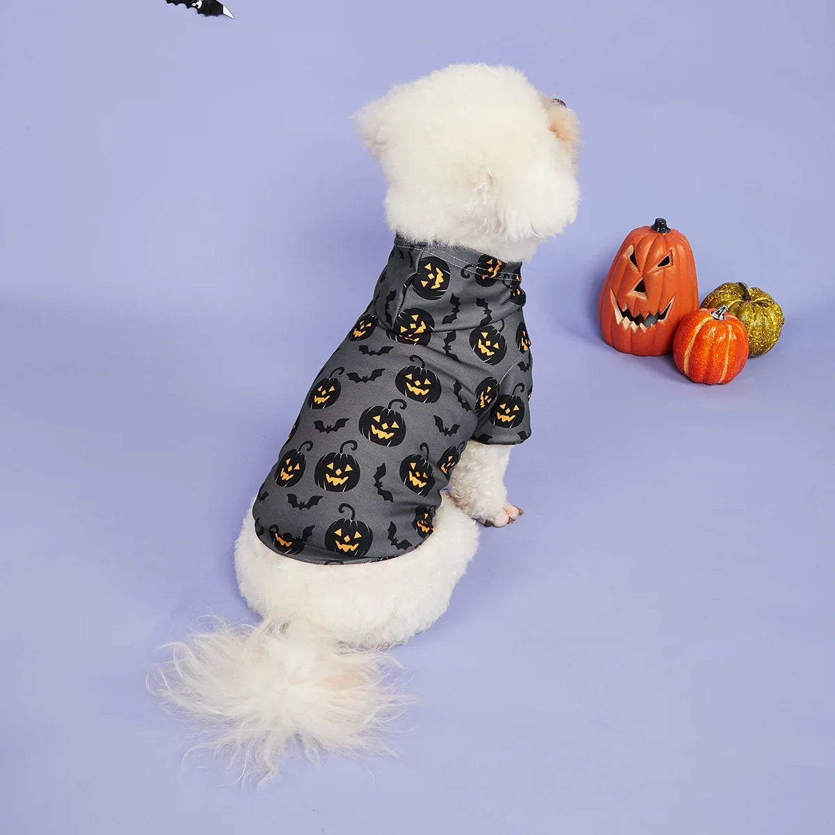 Dog Hoodie Halloween Shirts Clothes Dog Doggy Cool Pumpkin and Bat Pattern  Dog Clothes Dog Sweatshirts Apparel Pet Turtleneck