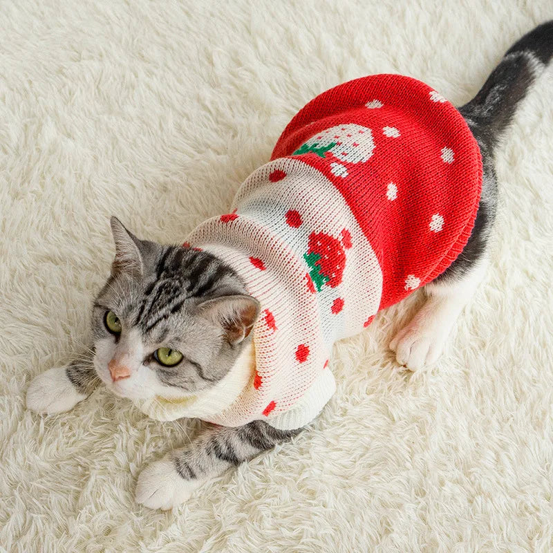 Warm Pet Clothes for Cats Small Dog Sweater Hoodies Coat Winter Pet Knitted Clothing for Dogs Chihuahua Cartoon Costume Apparels