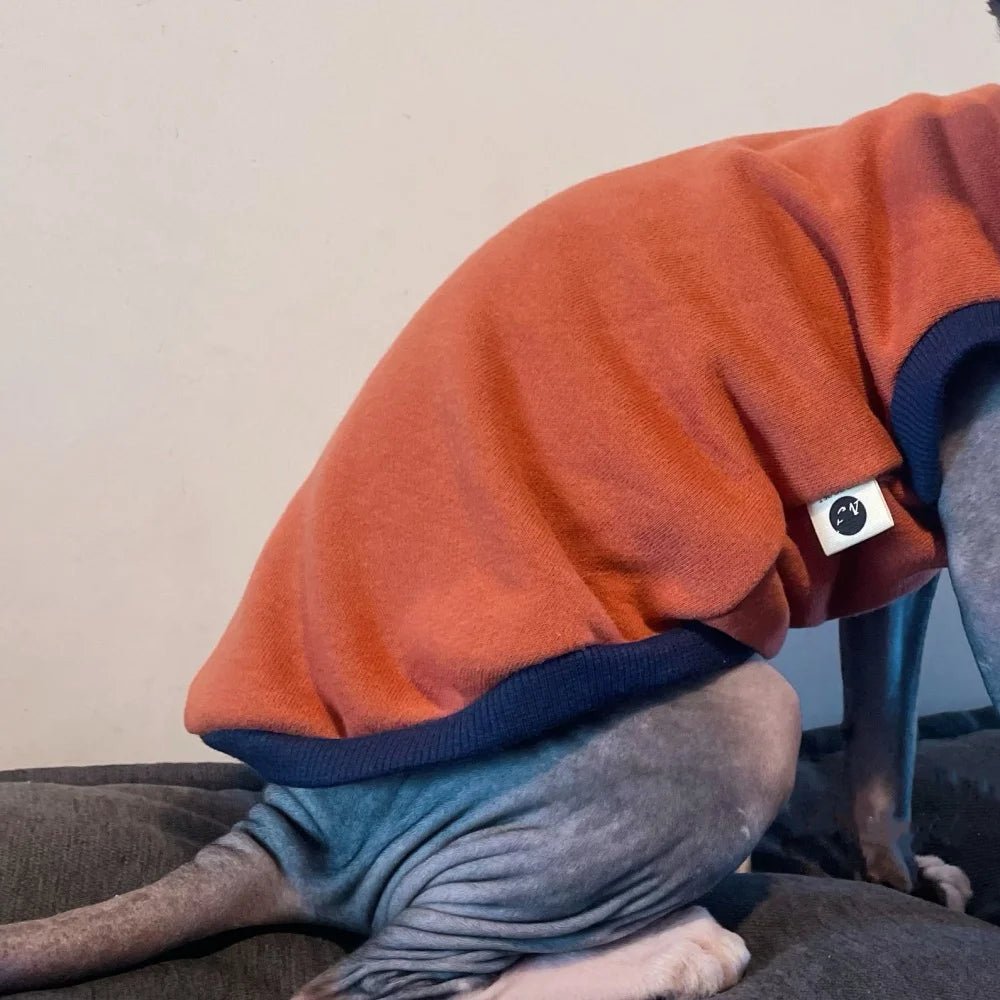 Cat Clothes Cotton Cartoon T-Shirt Long Sleeves Fashion Coat for Sphynx Cat Soft Animal Print Pajamas for Kittens in Spring