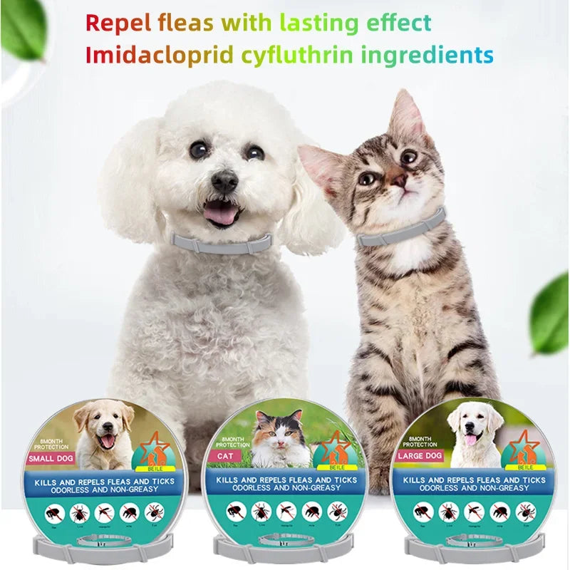 Anti Flea Ticks Collar for Dogs & Cats - Repellent Pet Collar against Fleas, Ticks, and Mosquitoes - Large Dog & Puppy Accessori