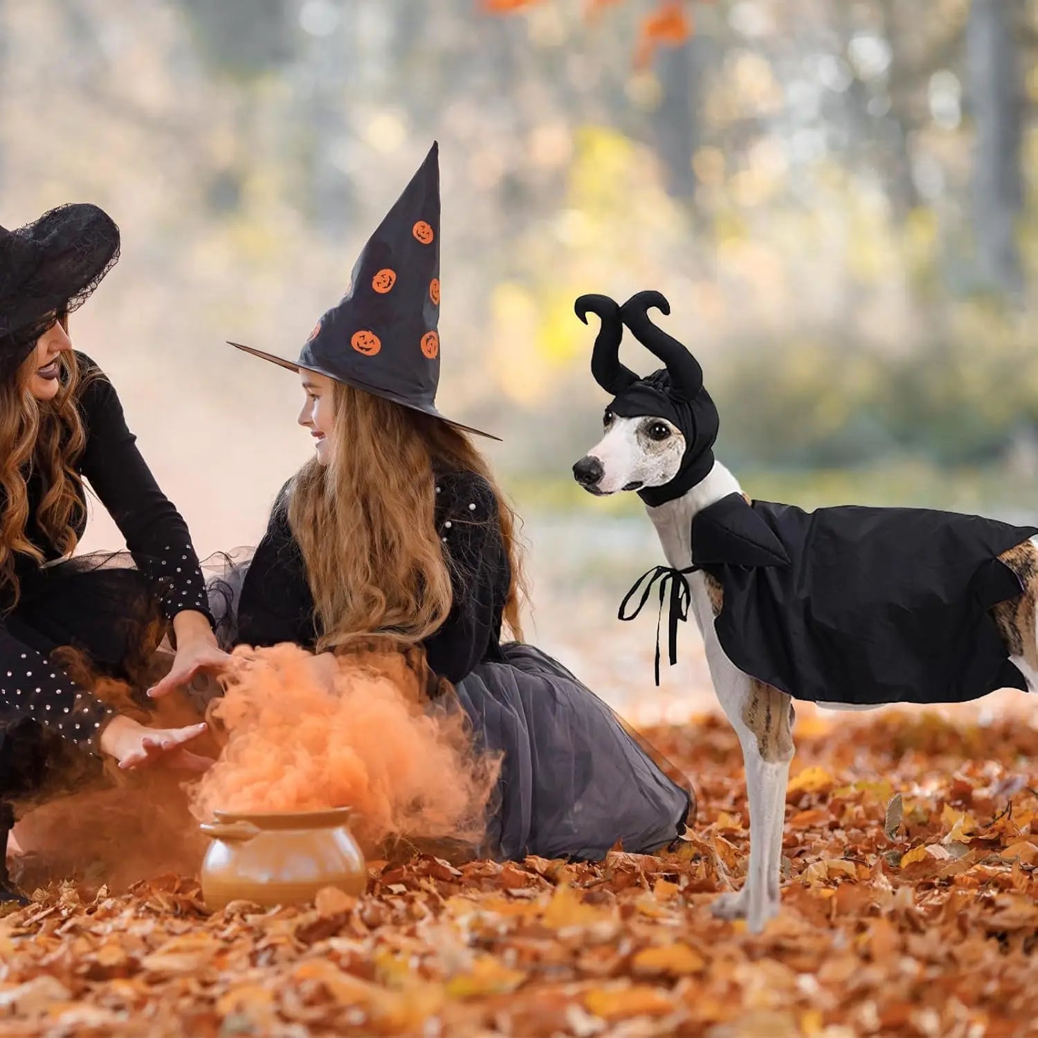 Halloween Witch-Shaped Costume cat Purple Vampire Cape Puppy Wizard Devil Horns Hat Pet Holiday Outfit for Small Middle-Sized Do