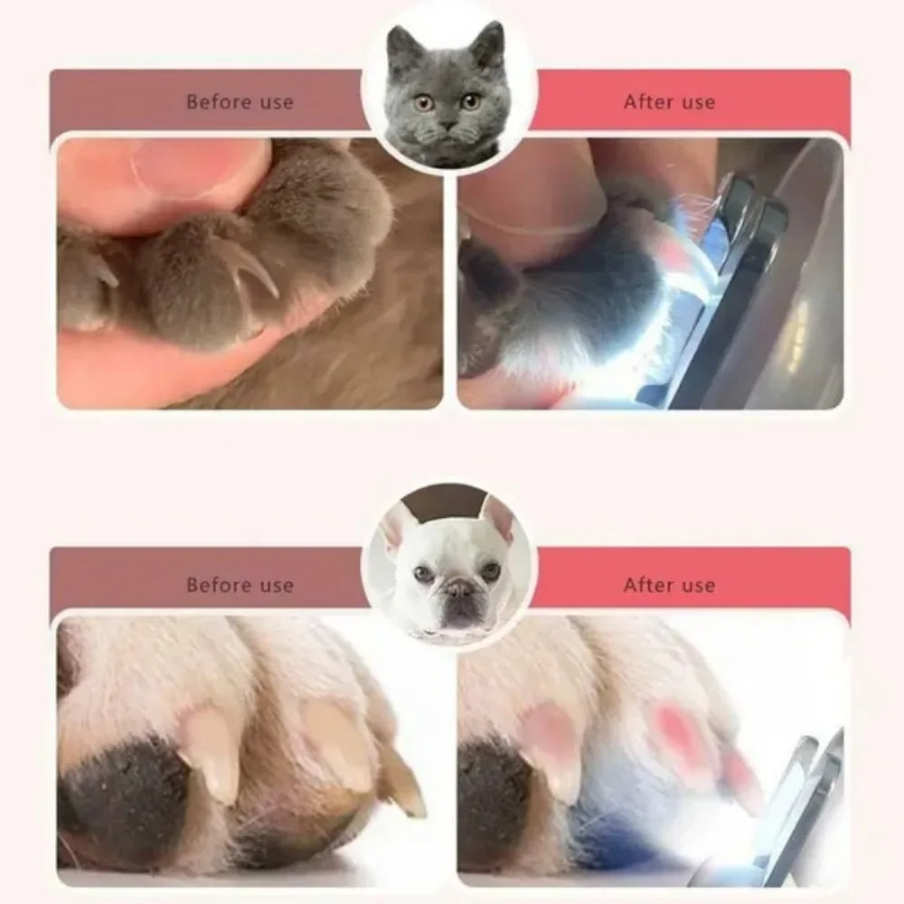 Professional Pet Nail Clipper LED Light Pet Nail Clipper Claw Grooming Scissors for Cats Small Dogs Scissors Cat Accessories