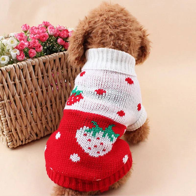 Warm Pet Clothes for Cats Small Dog Sweater Hoodies Coat Winter Pet Knitted Clothing for Dogs Chihuahua Cartoon Costume Apparels