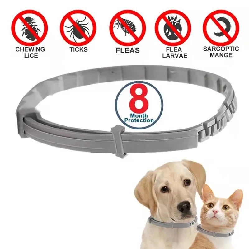 Anti Flea Ticks Collar for Dogs & Cats - Repellent Pet Collar against Fleas, Ticks, and Mosquitoes - Large Dog & Puppy Accessori