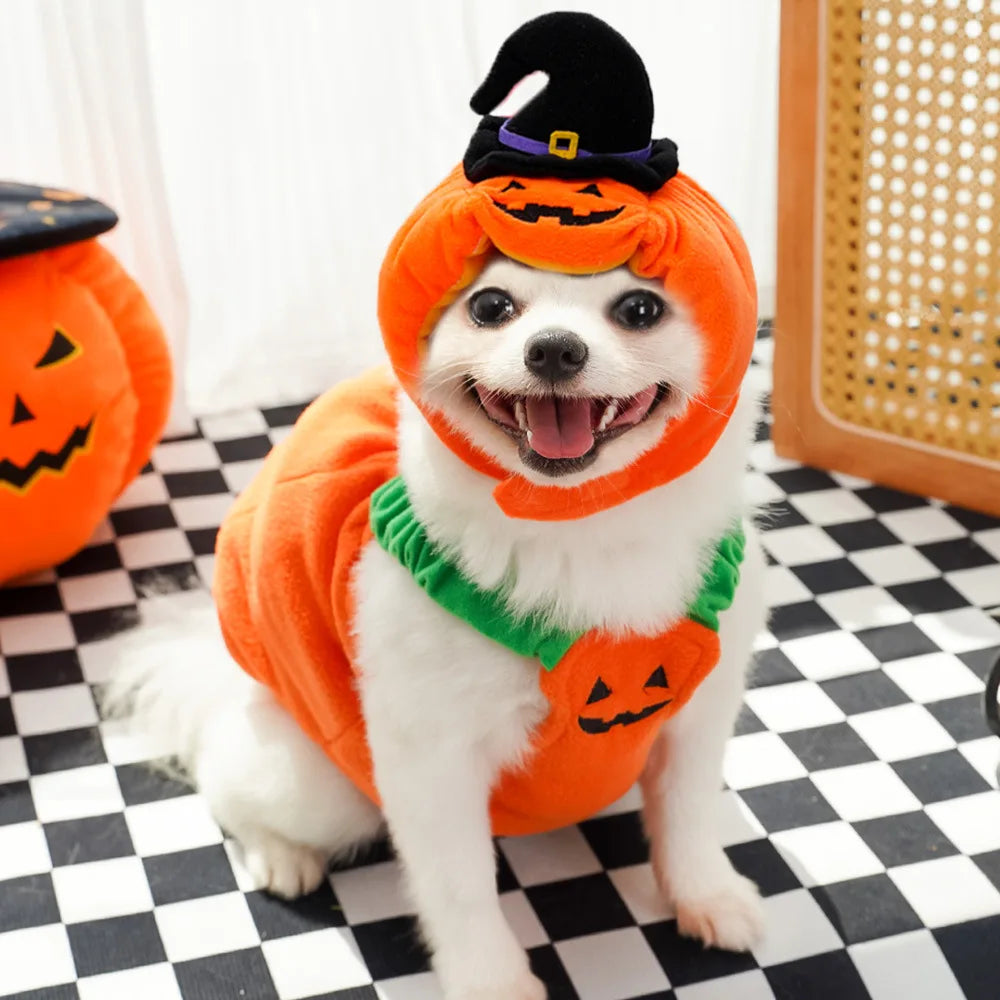 Creative Dog Pumpkin Costume Festive Gifts Halloween Pet Cosplay Clothes Adjustable Warm Halloween Cat Dog Hat Vest Home Decor