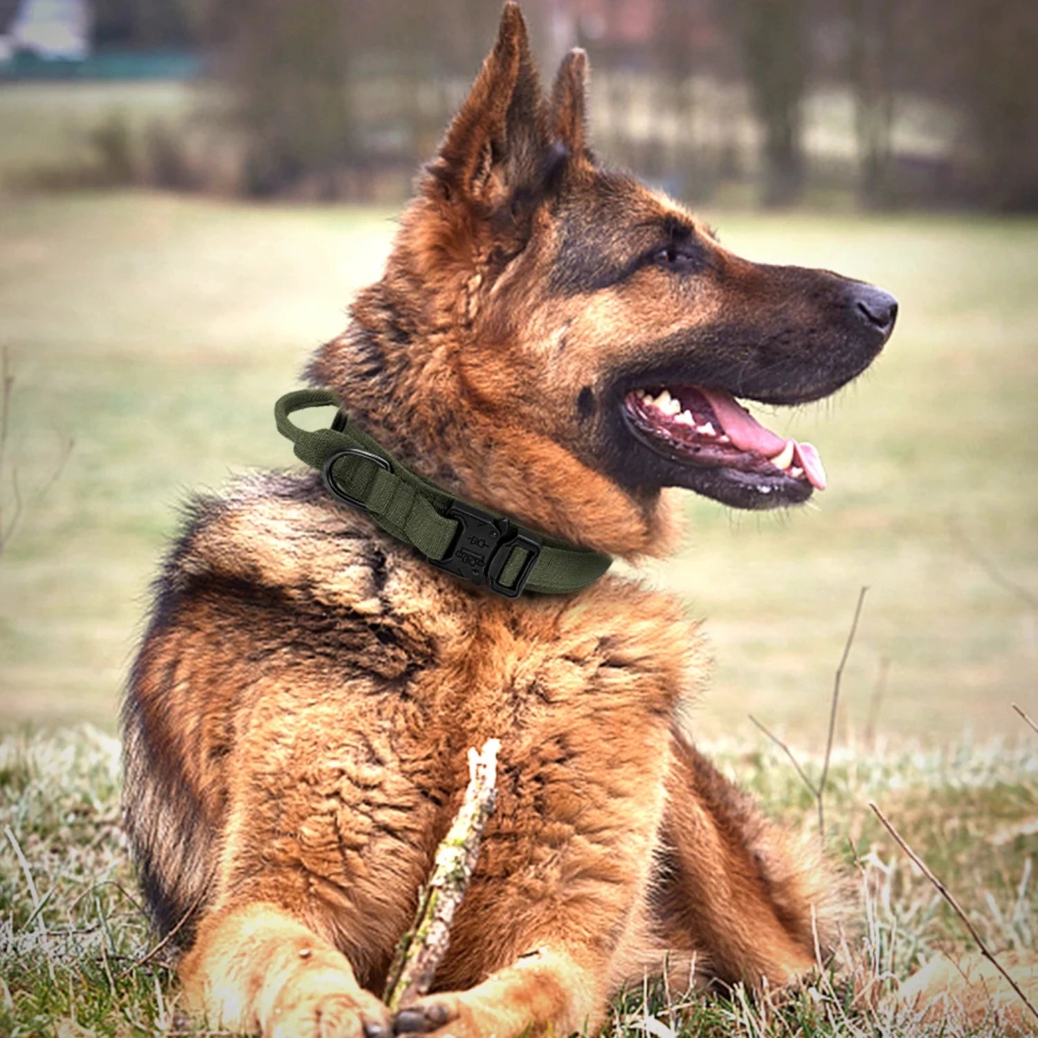 High-Quality Durable Military Tactical Collar and Bungee Leash Set for Medium and Large Dogs - Crafted with Top-Quality Rugged N