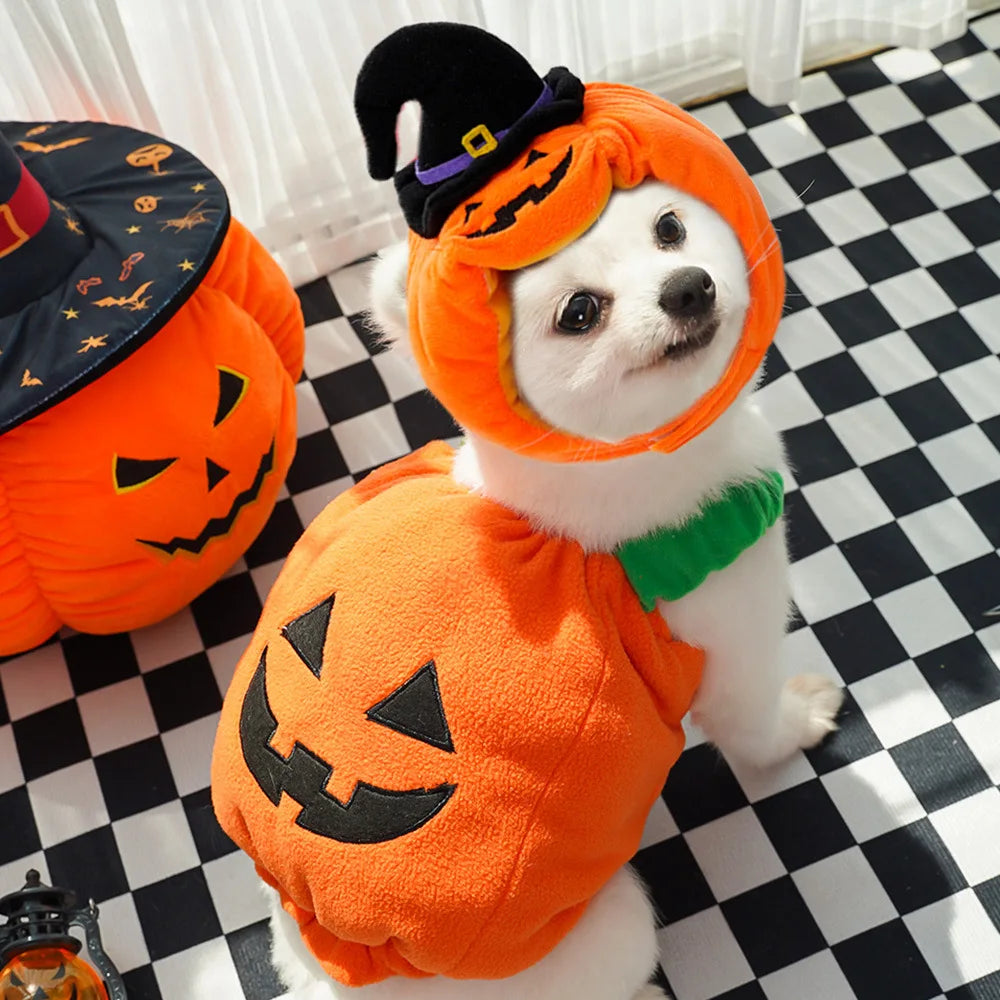 Creative Dog Pumpkin Costume Festive Gifts Halloween Pet Cosplay Clothes Adjustable Warm Halloween Cat Dog Hat Vest Home Decor